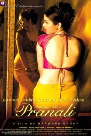 Pranali The Tradition (2008) Hindi