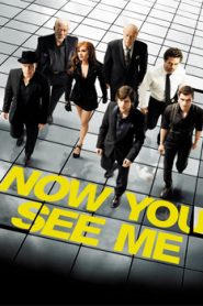 Now You See Me (2013) Hindi Dubbed