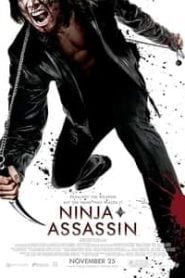 Ninja Assassin (2009) Hindi Dubbed