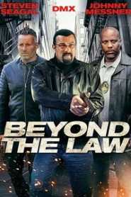 Beyond the Law (2019) Hindi Dubbed