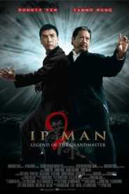 Ip Man 2 (2010) Hindi Dubbed