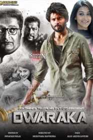 Dwaraka (2017) South Hindi Dubbed