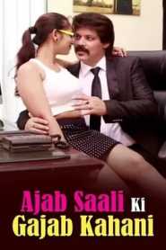 Ajab Saali Ki Gajab Kahani (2014) Hindi