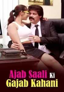 Ajab Saali Ki Gajab Kahani (2014) Hindi