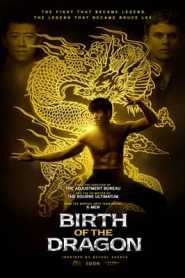 Birth of the Dragon (2016) Hindi Dubbed