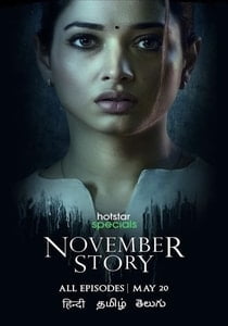 November Story (2021) Hindi Season 1