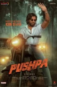 Pushpa The Rise Part 1 2021 ORG Hindi Dubbed