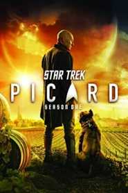 Star Trek Picard (2020) Hindi Dubbed Season 1