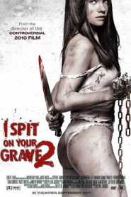I Spit on Your Grave 2 (2013) Hindi Dubbed