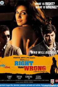 Right Yaaa Wrong (2010) Hindi