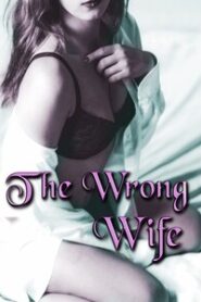 The Wrong Wife (2019) Unofficial Hindi Dubbed