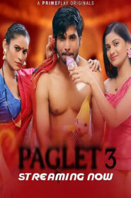 Paglet 2023 Season 3 Hindi PrimePlay Complete